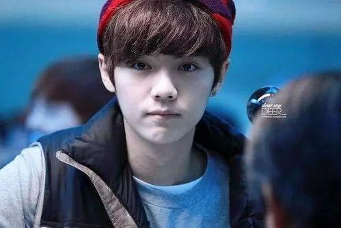 吃瓜娱乐圈陈哲远微博,娱乐圈幕后故事大揭秘  第2张