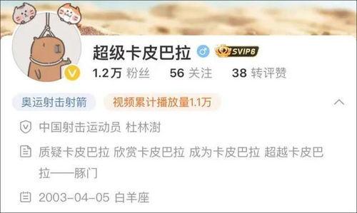 爆料四姐视频下载网站最新  第2张